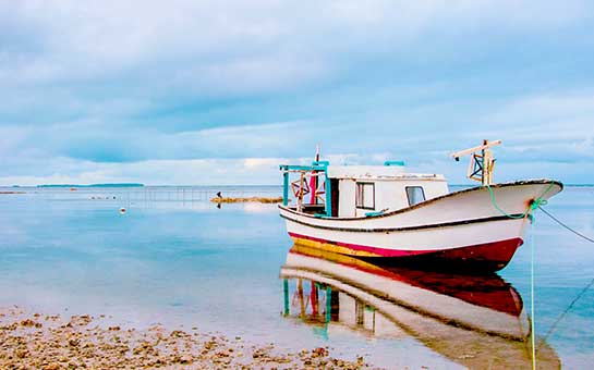 Seguro de viaje a Tonga